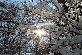 冬天,雪,太阳