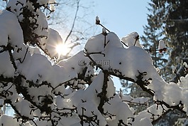 阳光,雪,天空