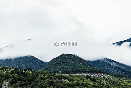 山,景觀,樹