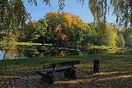 秋,工作臺(tái),公園