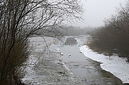 雪,冬季,視圖