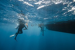 馬爾代夫,潛水員,海