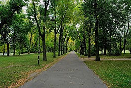 夏天,公園,波蘭