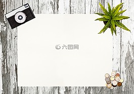 相機(jī),植物,辦公桌