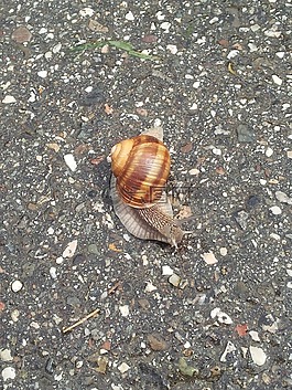 蝸牛,慢,degrowth