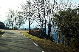 路,montseny,山区公路