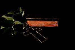 交叉,圣經(jīng),書