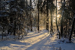 冬季,雪,視圖