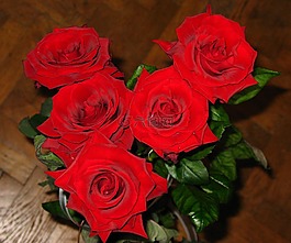 玫瑰,花束,花