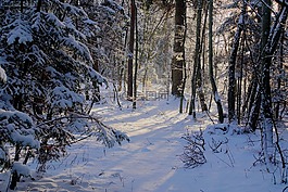冬季,雪,視圖