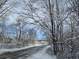 雪,路,自然