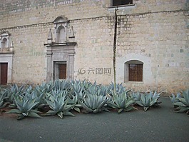 建筑師,建設(shè),混凝土