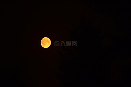 月亮,天文學(xué),日食