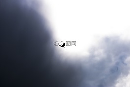 鳥,飛行,天空