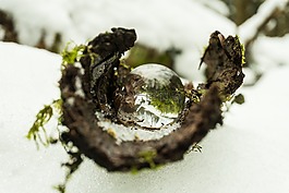 性質(zhì),雪,冬天