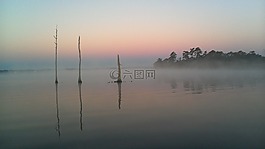 自然,景觀,樹