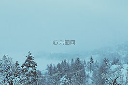 冬天,雪,冷