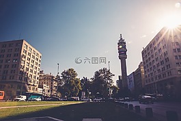 城市,街道,草
