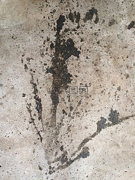 老,漆,墻