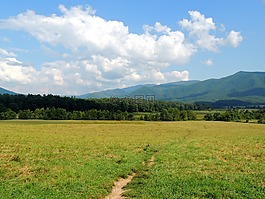 路徑,方式,山