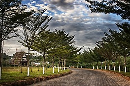 路,方式,農(nóng)村