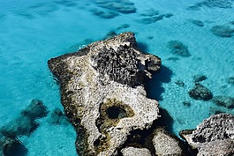 礁,巖質海岸,海