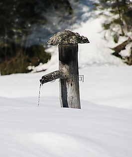 冬天,雪,寒冬