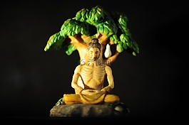 佛,啟示,菩提樹