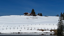 冬天,雪,寒冬