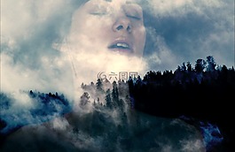 霧,森林,山的世界