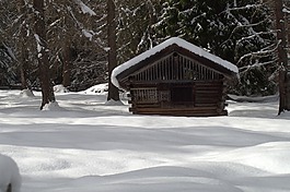 冬天,雪,寒冬