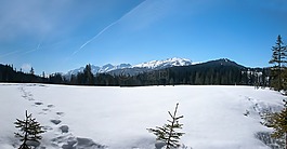 冬天,雪,寒冬