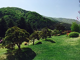 動產(chǎn),公園,木材