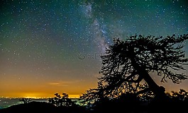 夜晚的天空,山,樹