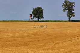 景觀,麥田,性質(zhì)