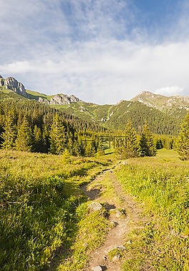 性質(zhì),景觀,林