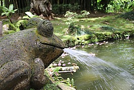 青蛙,雕像,池