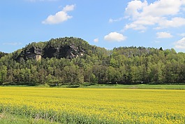 巴斯台,砂岩,石