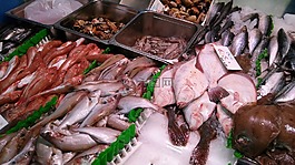 魚,海,紅魚