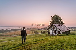 綠色,草,字段