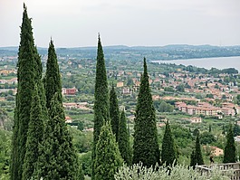 意大利,bardolino,加爾達(dá)
