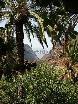 特內里費,性質,加那利群島