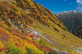 黄色,红色,涸沢卷发