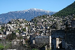 鎮(zhèn),老,火雞