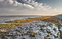norderney,美国瓦茨,秋季