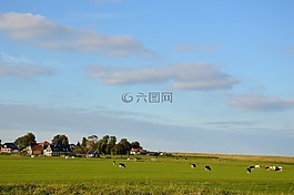 全景圖,荷蘭,景觀