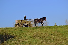 車皮,農村,農場
