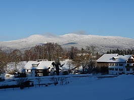 冬天,雪,巴伐利亞森林