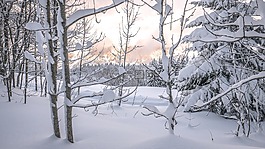 雪,冬天,弗羅斯特