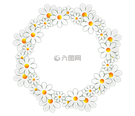鮮花,黛西,相框